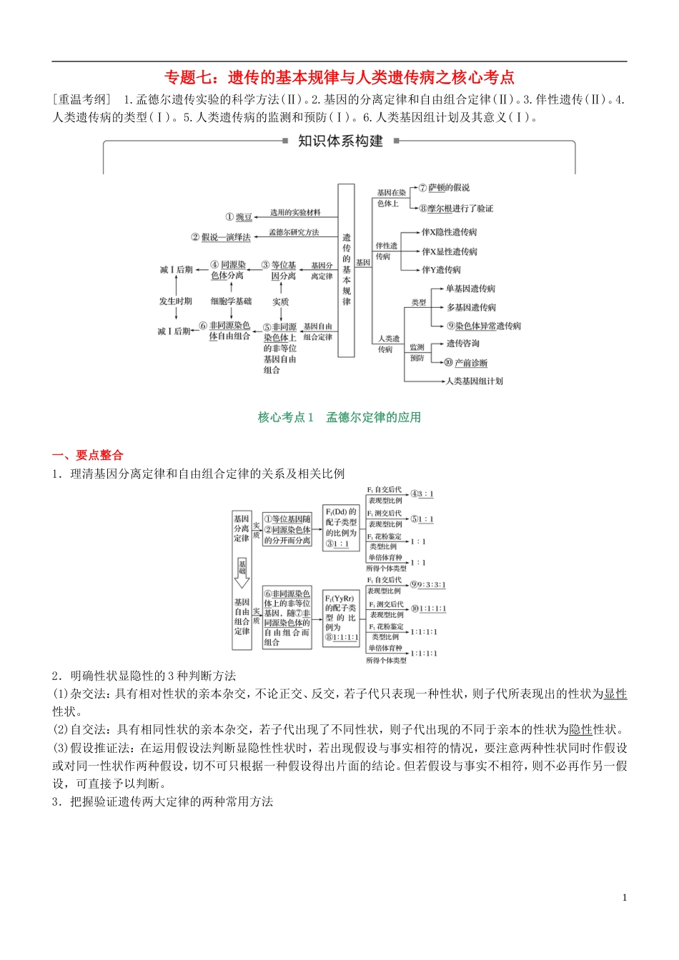 高考生物二轮复习核心考点之提分冲刺专题遗传的基本规律与人类遗传病_第1页