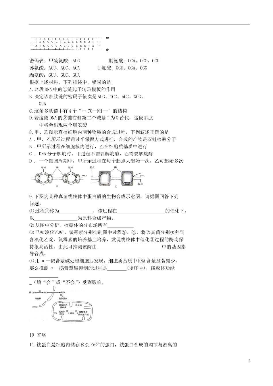 高考生物总复习遗传与进化——遗传的分子基础遗传信息的表达学案_第2页