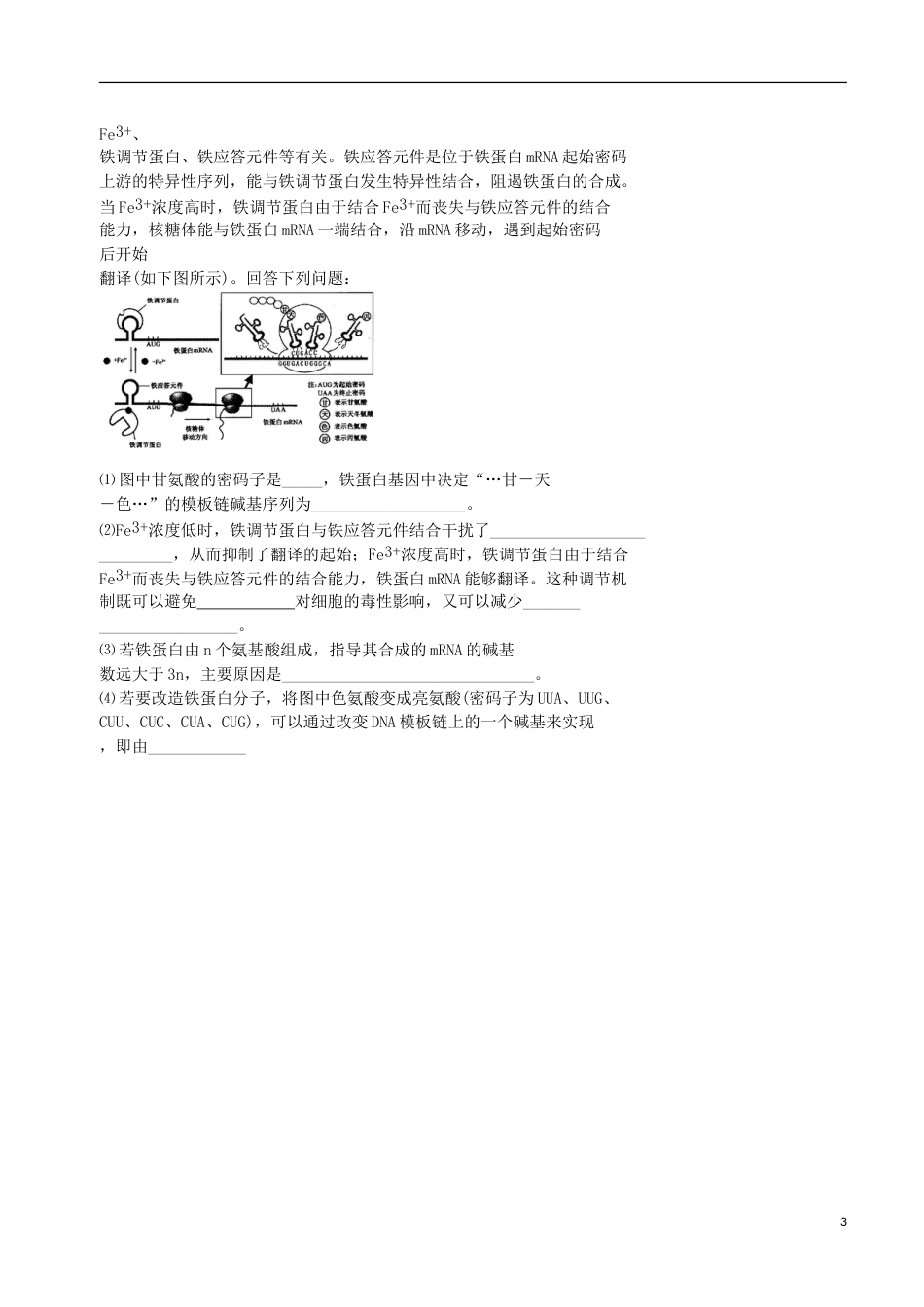 高考生物总复习遗传与进化——遗传的分子基础遗传信息的表达学案_第3页