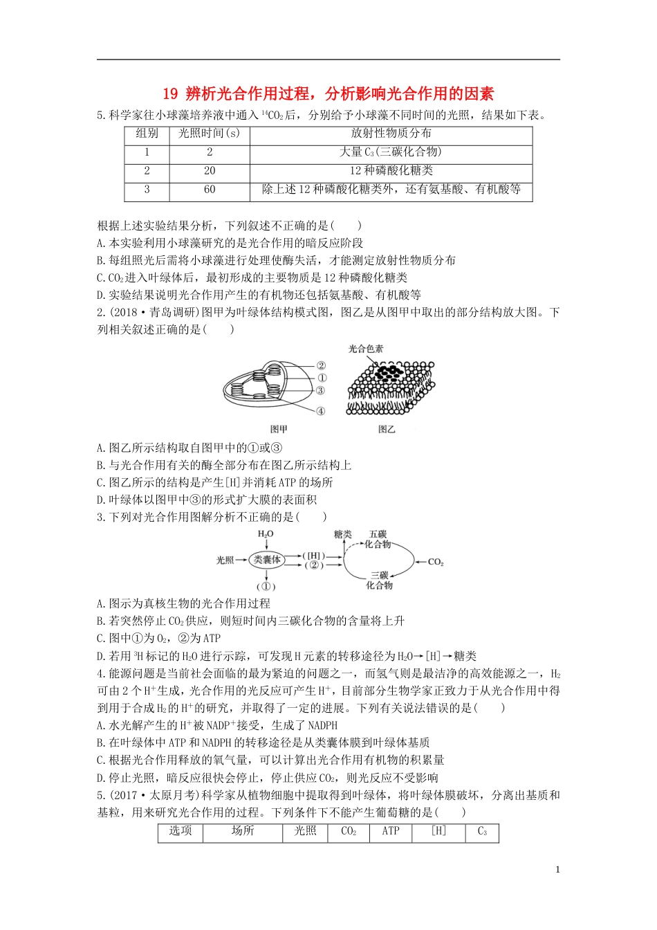 高考生物加练半小时第练辨析光用过程分析影响光用的因素苏教_第1页