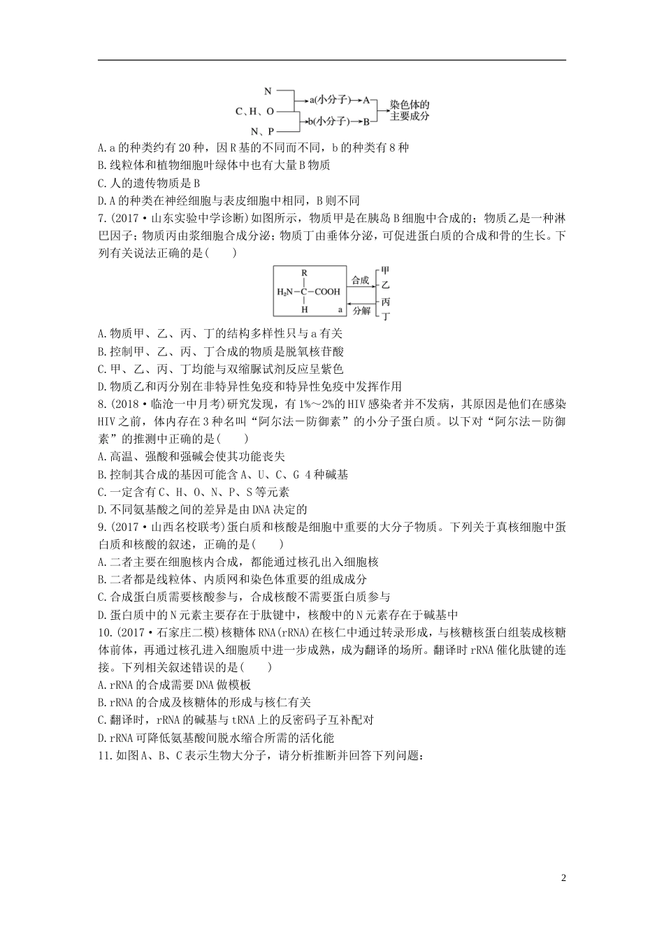 高考生物加练半小时第练透析蛋白质结构层次及蛋白质与核酸之间的联系苏教_第2页