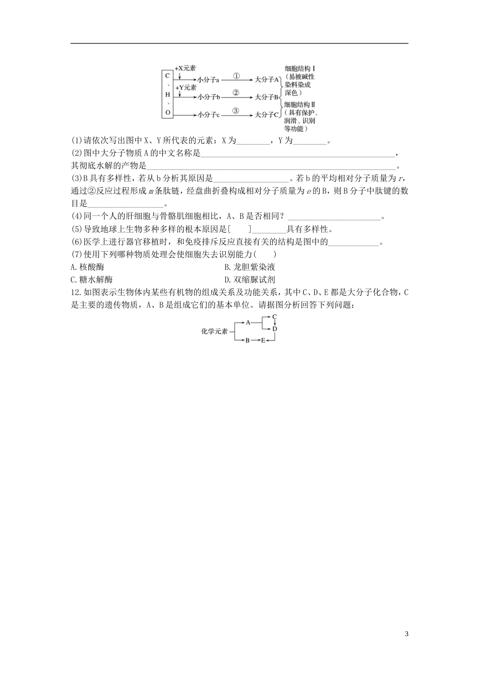 高考生物加练半小时第练透析蛋白质结构层次及蛋白质与核酸之间的联系苏教_第3页