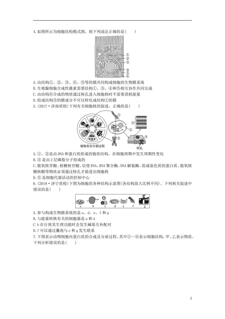 高考生物加练半小时第练对比分析细胞的亚显微结构与功能苏教_第2页