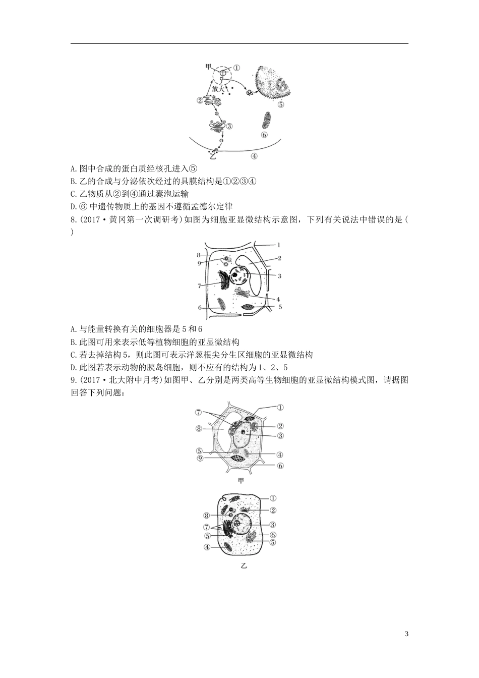 高考生物加练半小时第练对比分析细胞的亚显微结构与功能苏教_第3页