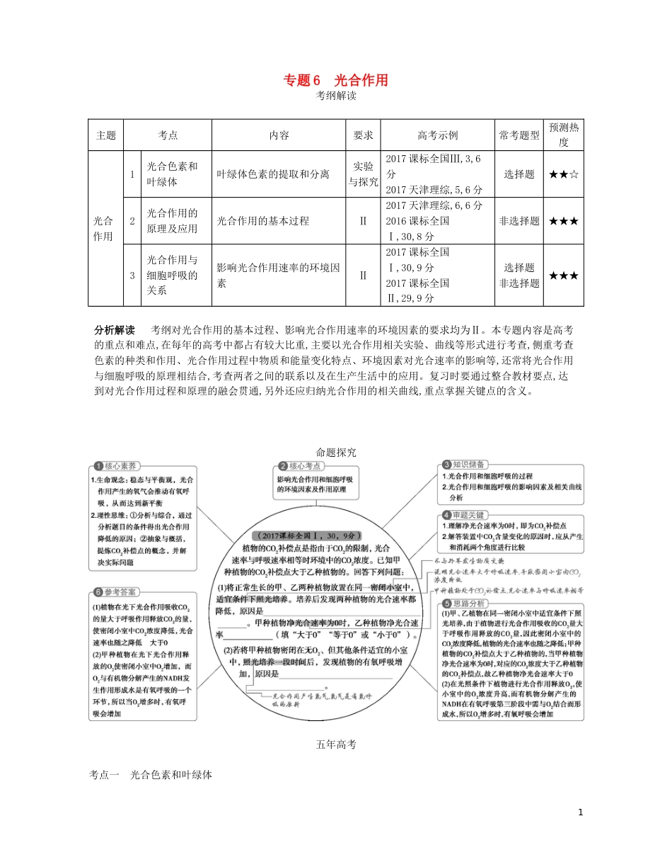 高考生物一轮复习专题光用讲学案_第1页