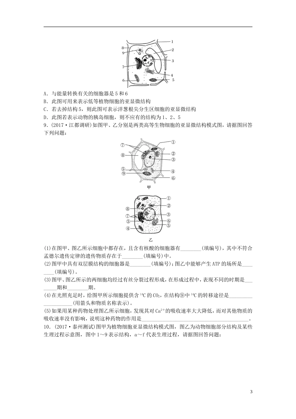 高考生物一轮复习热点针对练对比分析细胞的亚显微结构与功能新人教_第3页