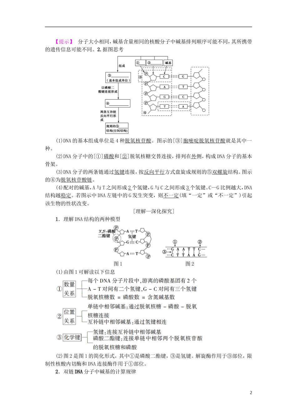高考生物一轮复习第单元遗传的分子基础第讲DNA分子的结构复制与基因的本质学案苏教_第2页