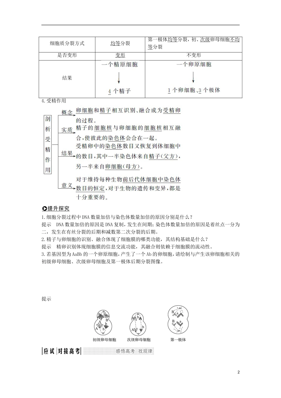 高考生物一轮复习第五单元细胞的生命历程第讲染色体在有性生殖中的变化创新备考学案中图_第2页