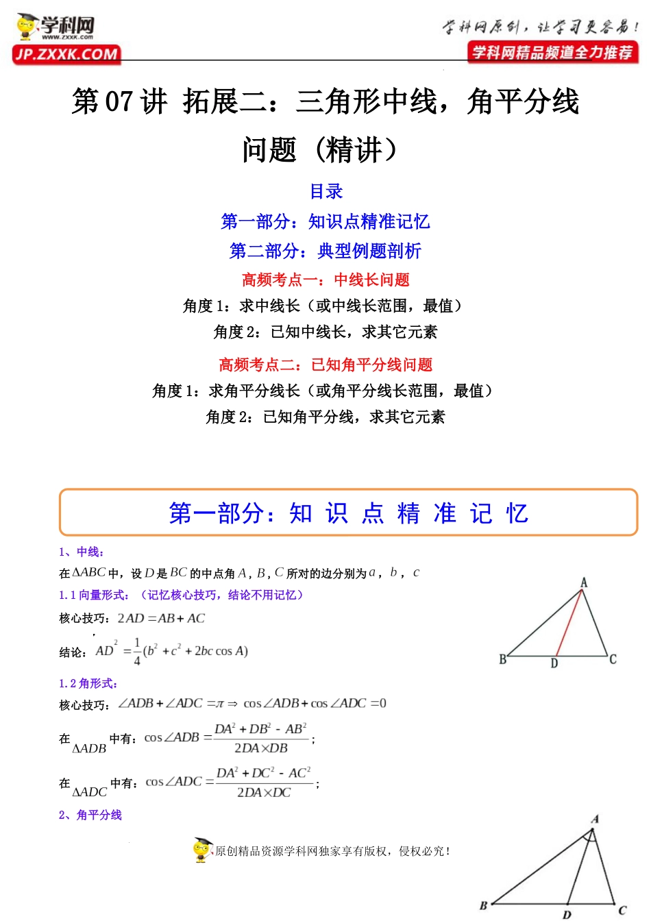 第07讲 拓展二：三角形中线，角平分线问题 (精讲）（解析版）_第1页