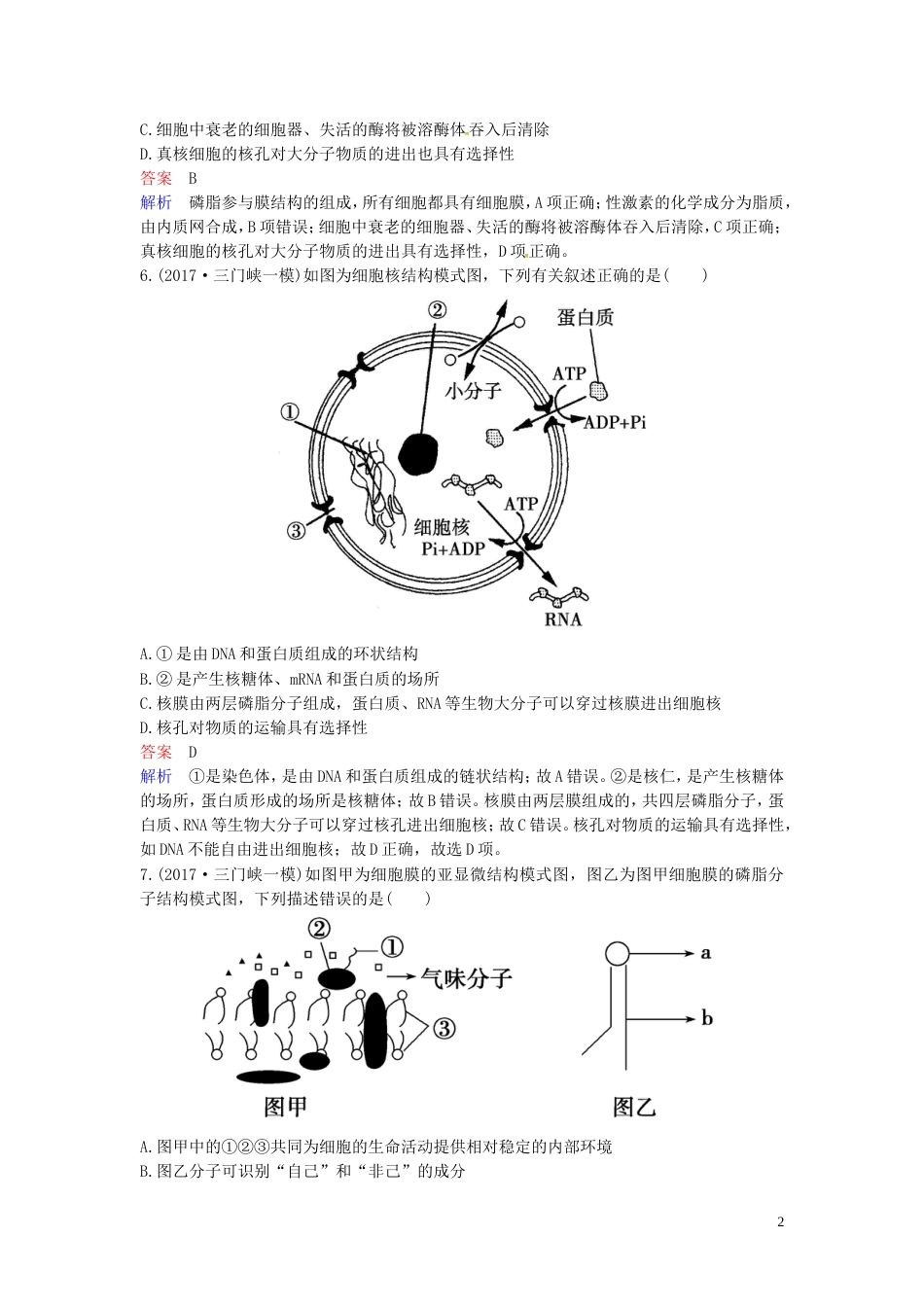 高考生物二轮复习课时作业细胞的基本结构_第2页