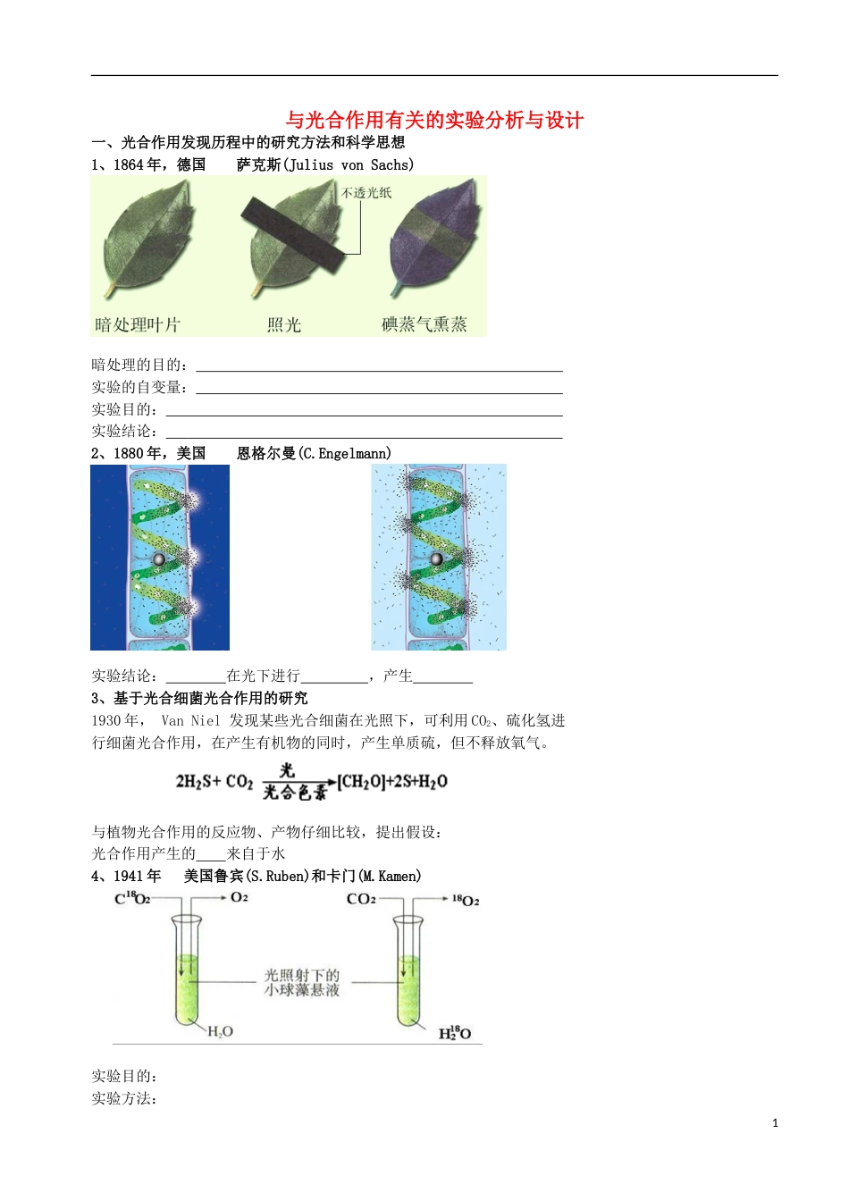 高考生物总复习分子与细胞与光用有关的实验分析与设计学案_第1页