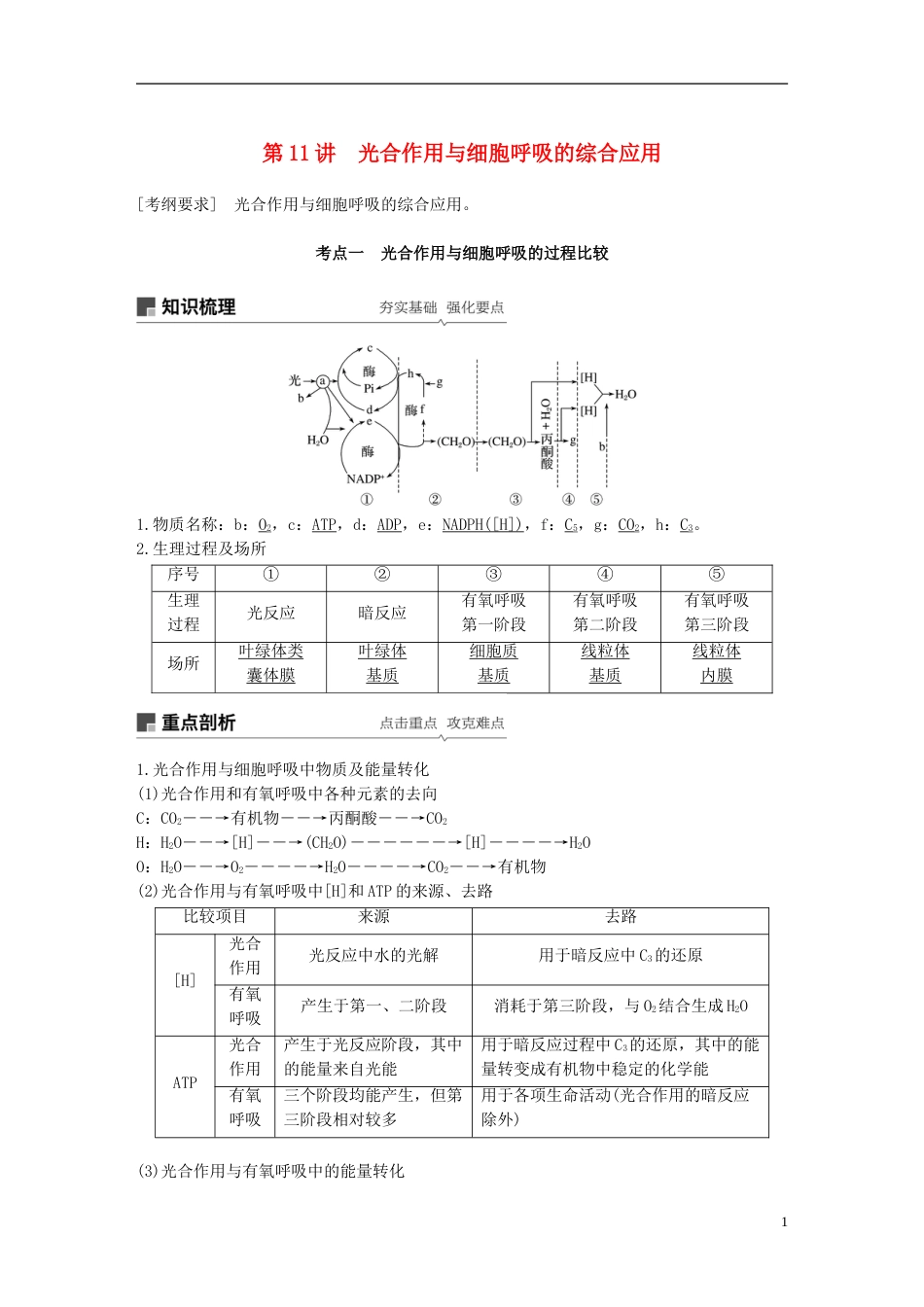 高考生物一轮复习第三单元光用和细胞呼吸第讲光用与细胞呼吸的综合应用备考一体学案苏教_第1页