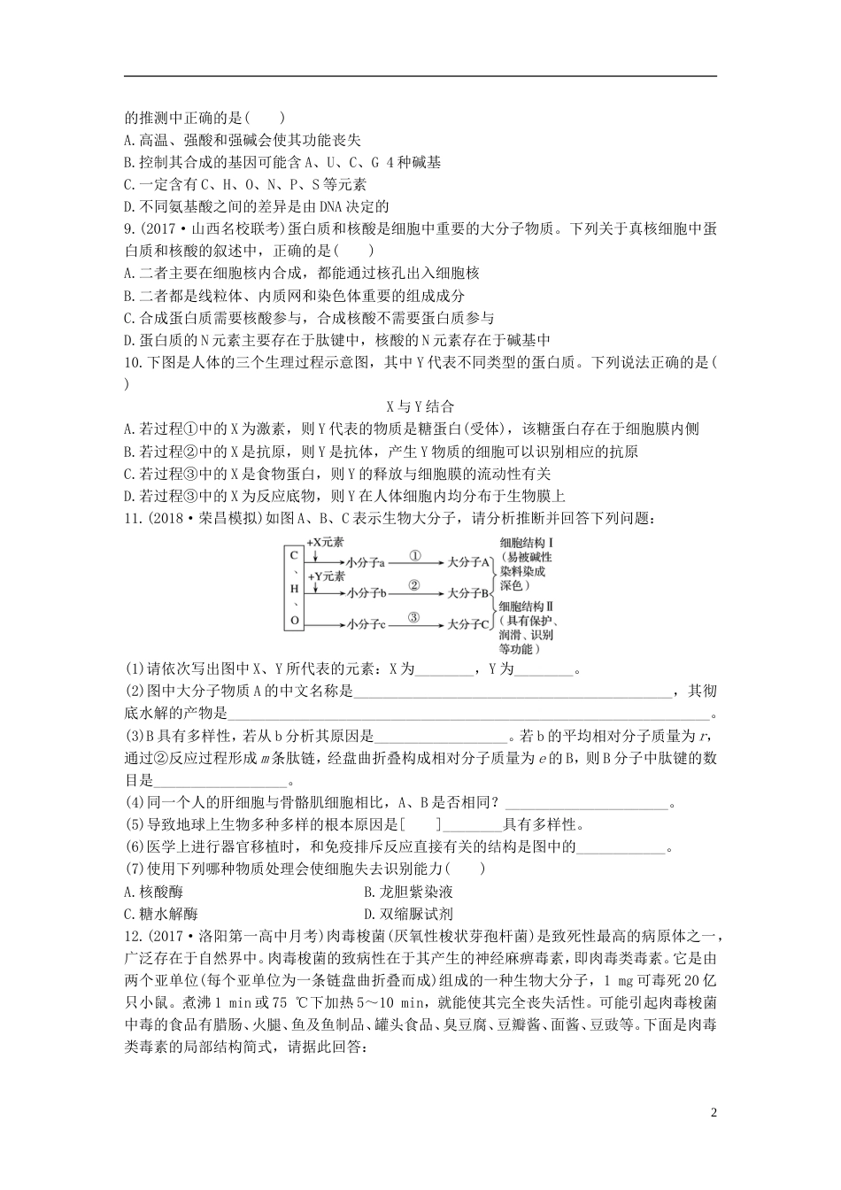 高考生物重点强化练第练透析蛋白质结构层次及蛋白质与核酸之间的联系北师大_第2页