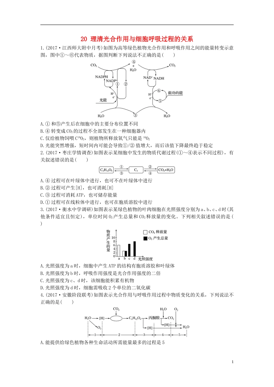 高考生物重点强化练第练理清光用与细胞呼吸过程的关系北师大_第1页