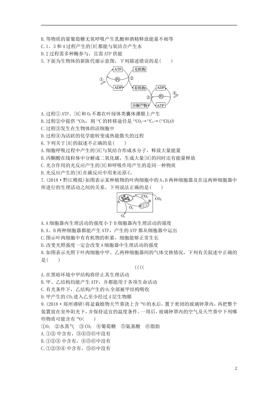 高考生物重点强化练第练理清光用与细胞呼吸过程的关系北师大_第2页