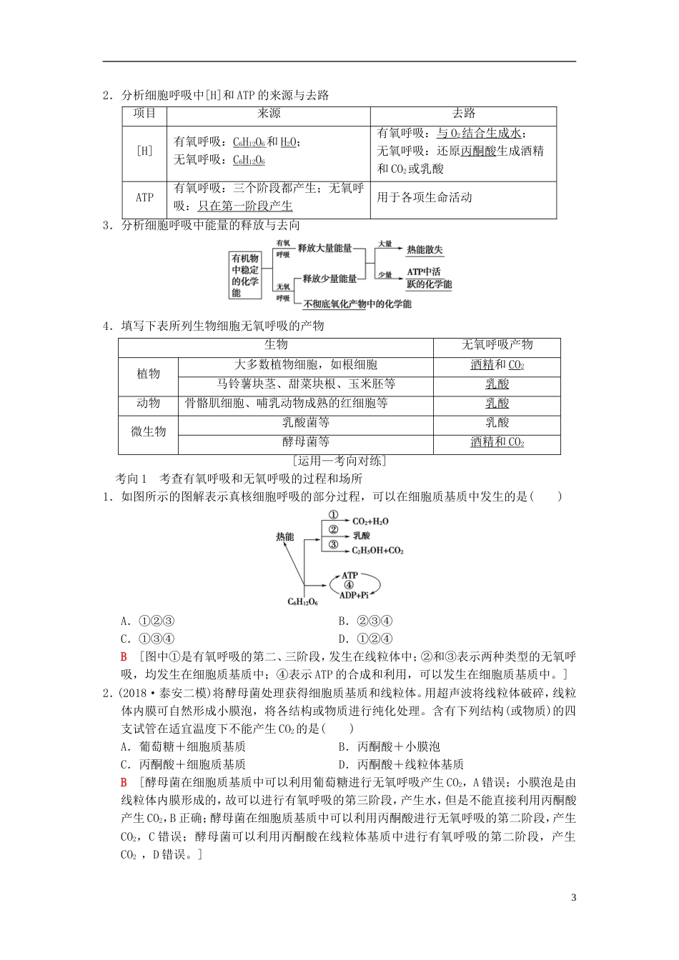 高考生物一轮复习第单元细胞的能量供应和利用第讲细胞呼吸学案_第3页
