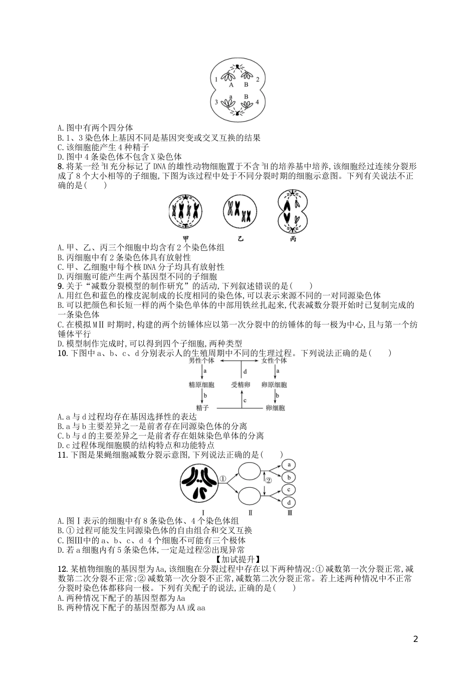 高考生物专题训练减数分裂与受精作用_第2页