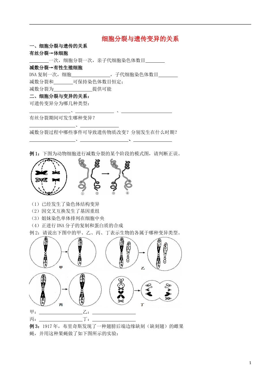 高考生物总复习遗传与进化——遗传的细胞学基础细胞分裂与遗传变异的关系学案_第1页