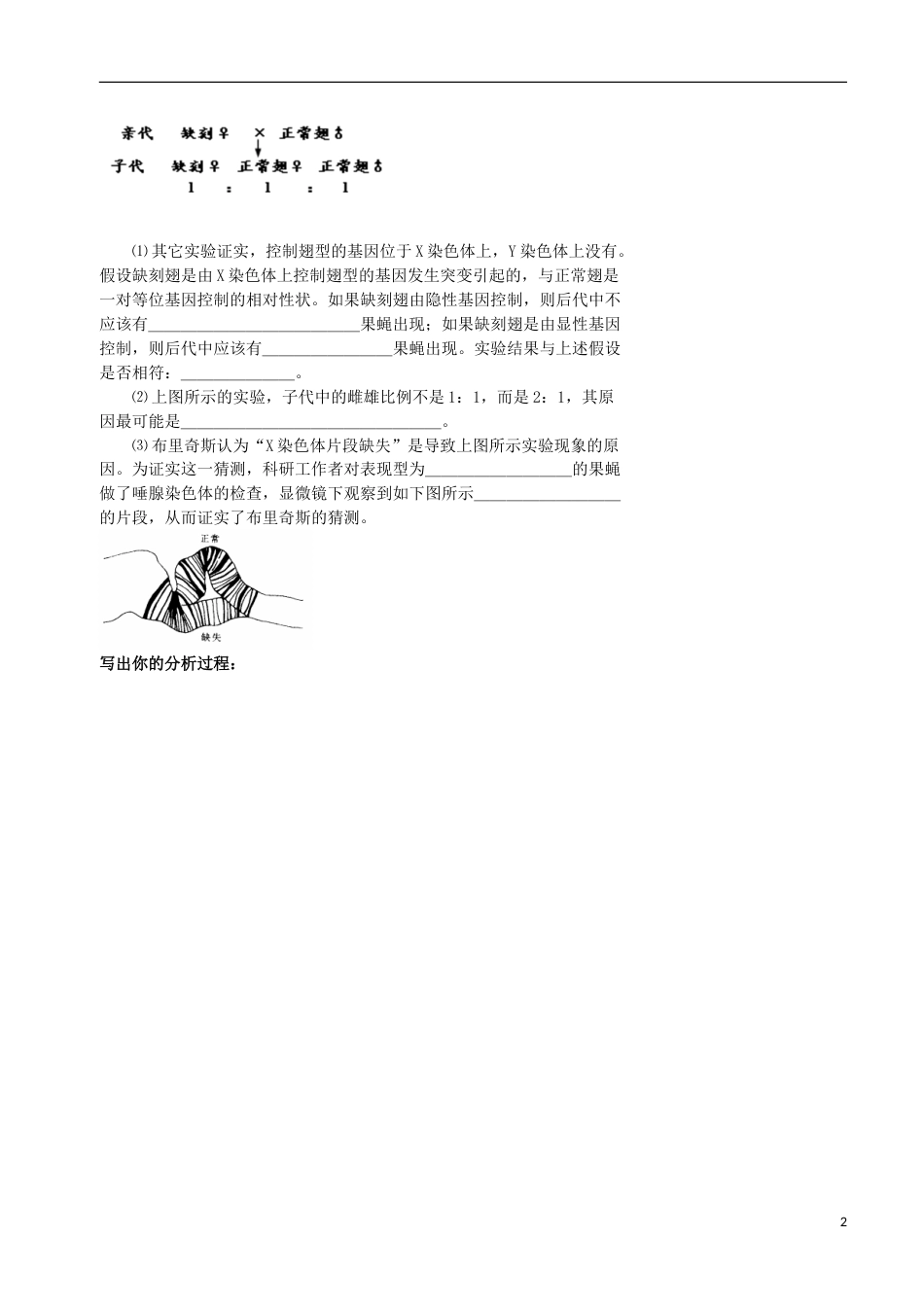 高考生物总复习遗传与进化——遗传的细胞学基础细胞分裂与遗传变异的关系学案_第2页