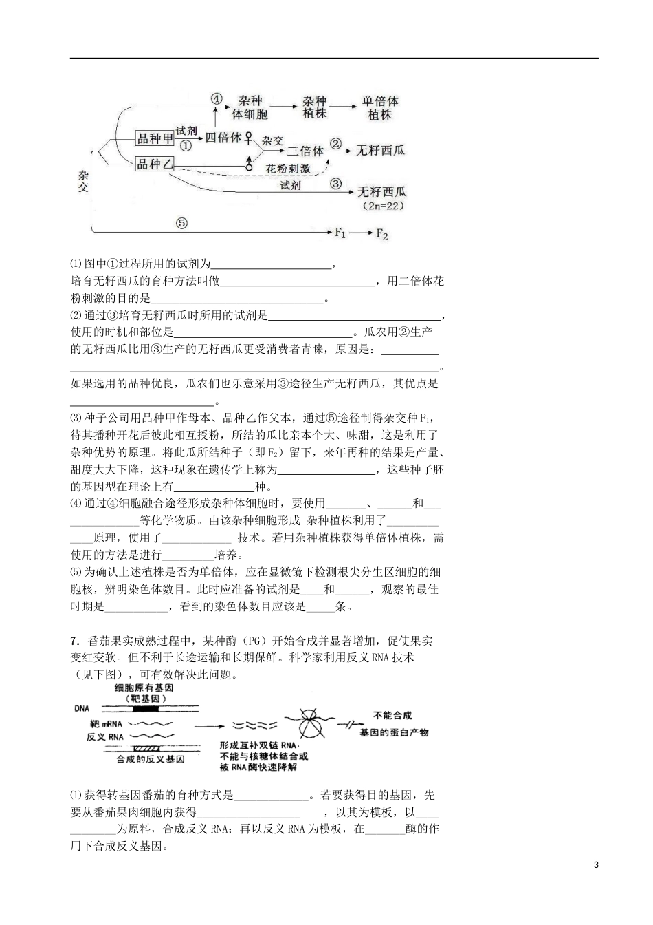 高考生物总复习遗传与进化——遗传综合应用变异与育种专题学案_第3页