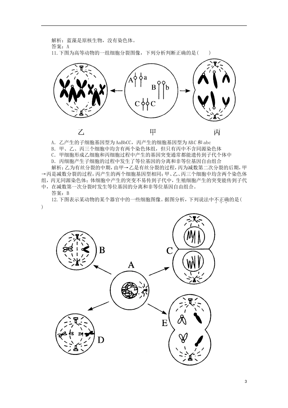 高考生物二轮复习专题训练减数分裂和受精作用_第3页