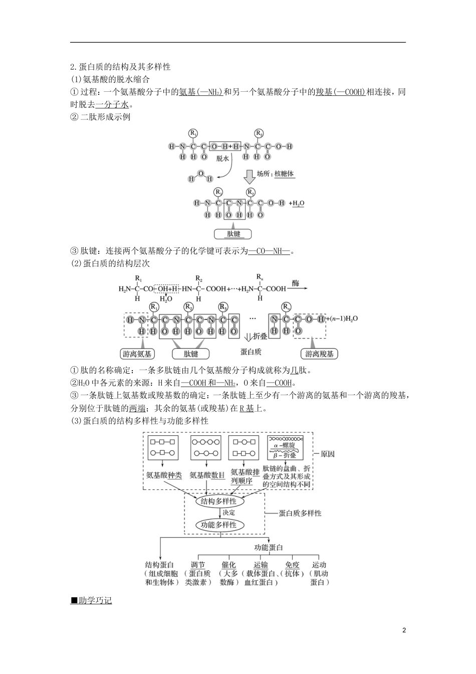 高考生物一轮复习第二单元细胞的自我保障第讲细胞中的蛋白质创新备考学案中图_第2页