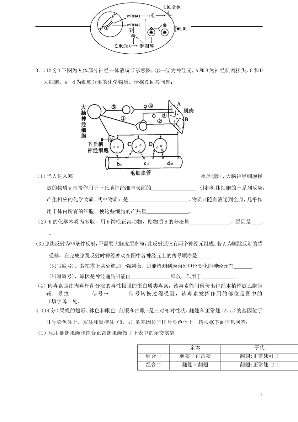 高考生物总复习综合练习非选择题_第2页