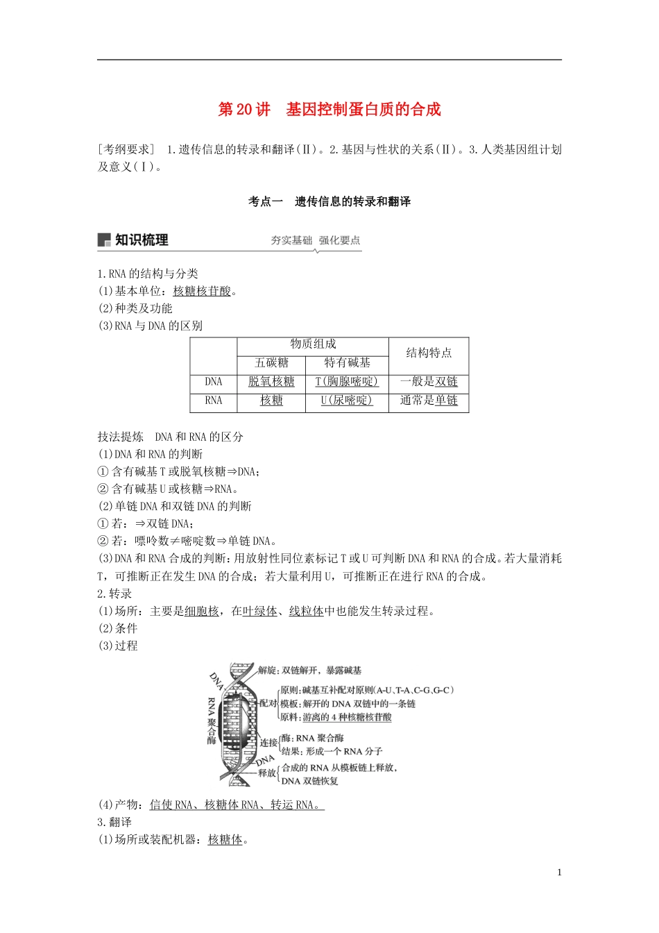 高考生物一轮复习第六单元遗传的分子基础第讲基因控制蛋白质的合成备考一体学案苏教_第1页