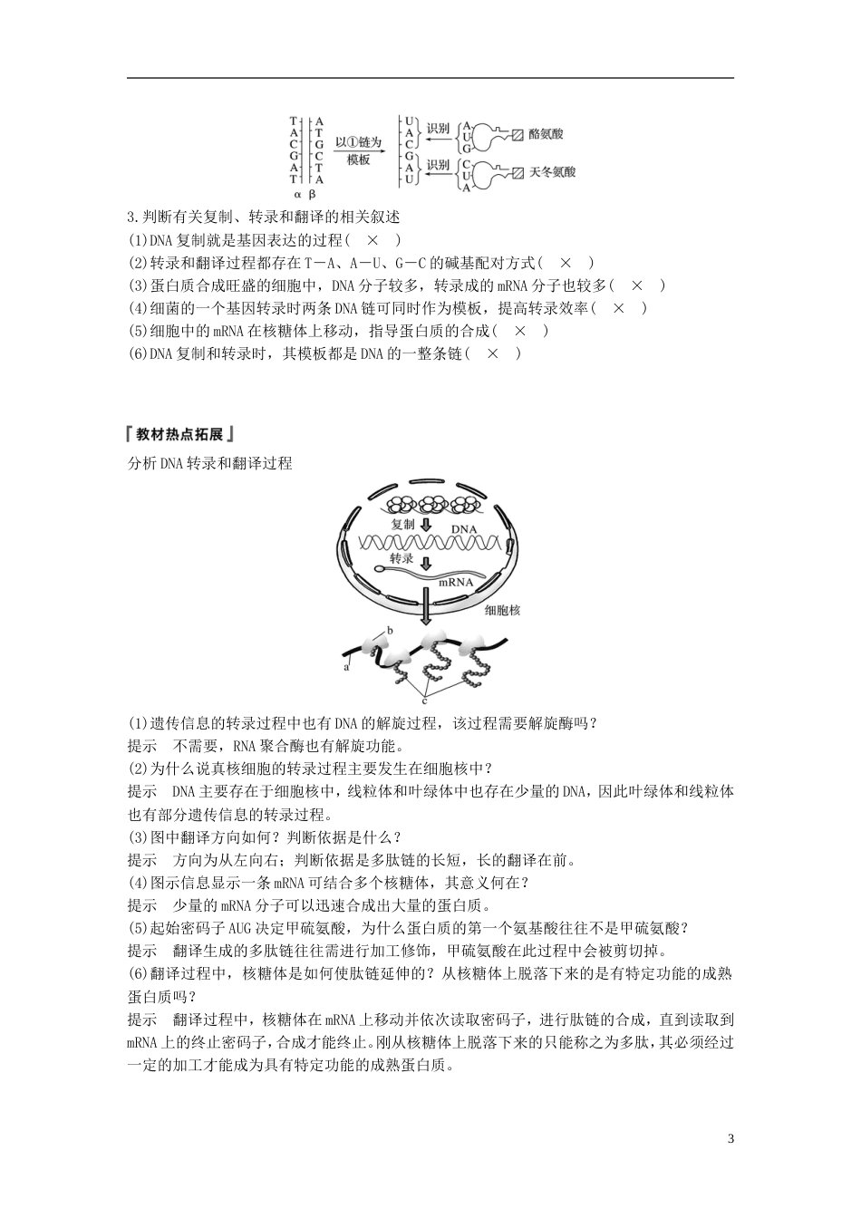 高考生物一轮复习第六单元遗传的分子基础第讲基因控制蛋白质的合成备考一体学案苏教_第3页