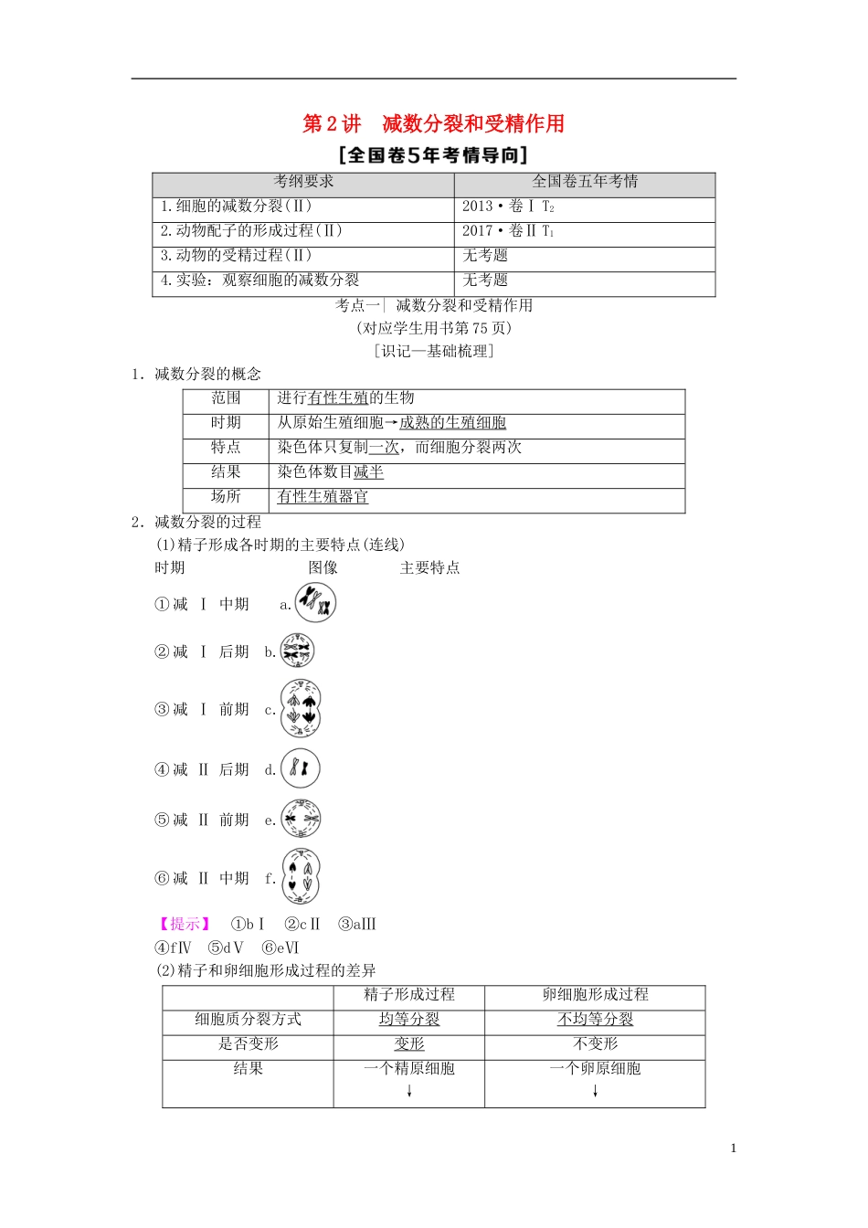 高考生物一轮复习第单元细胞的生命历程第讲减数分裂和受精作用学案_第1页