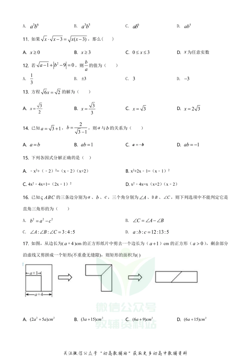 60.华师版·吉林省长春市吉林大学附中期中_第2页