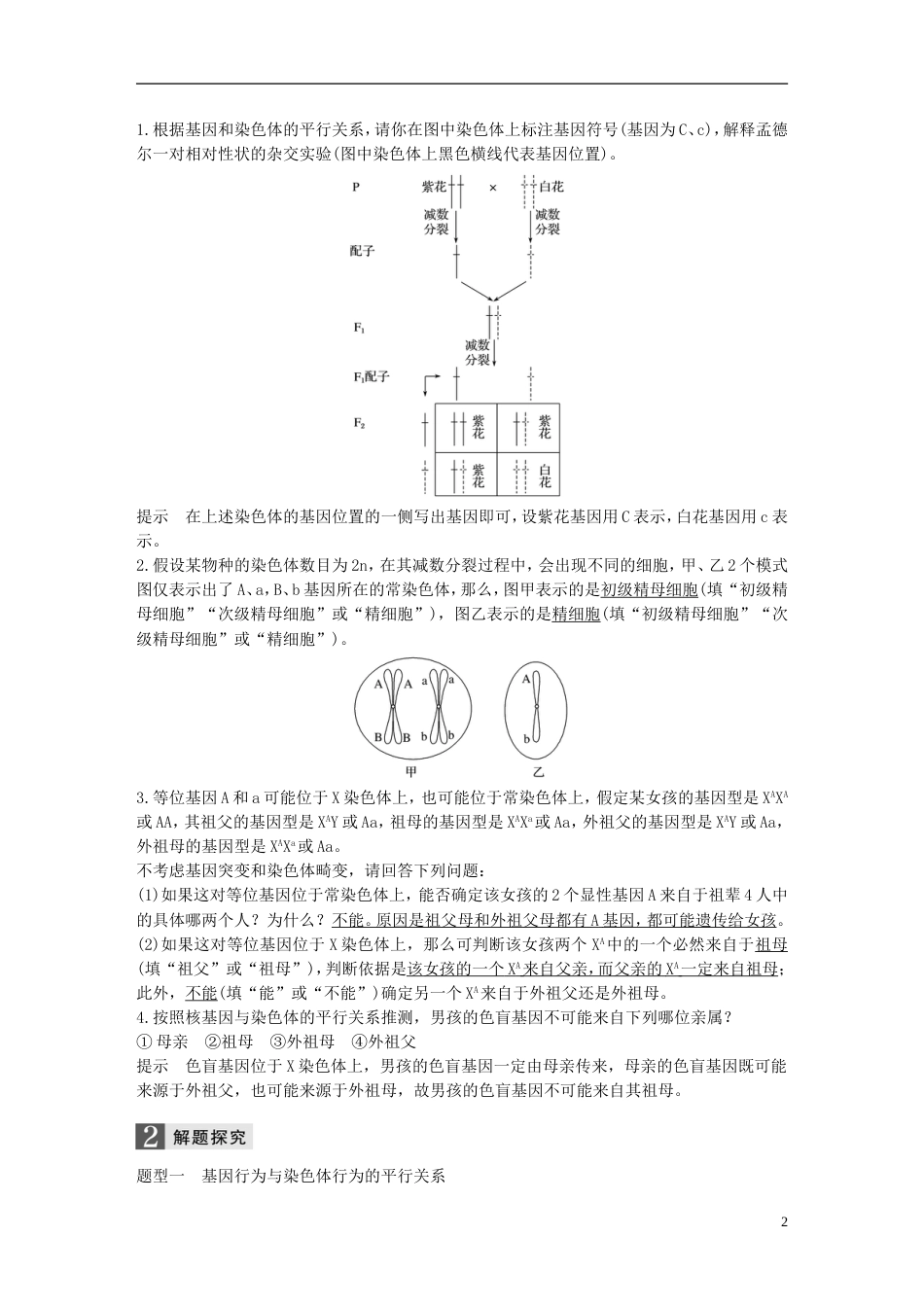 高考生物一轮总复习第四单元遗传的基本规律人类遗传病与优生第讲遗传的染色体学说伴性遗传学案_第2页