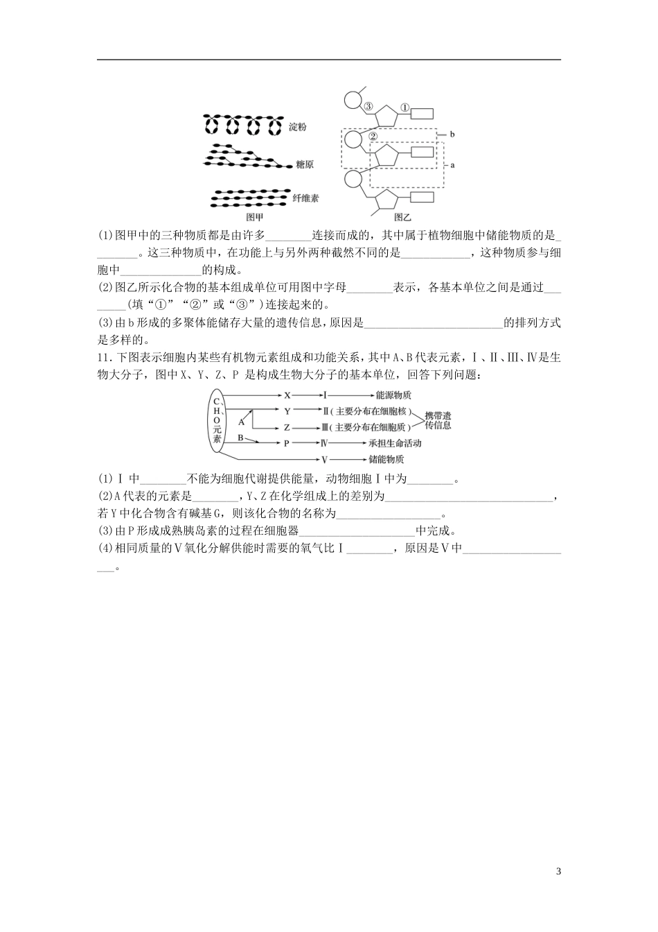 高考生物一轮复习重点强化练多角度分析糖类脂质和核酸的分子组成及其功能新人教_第3页