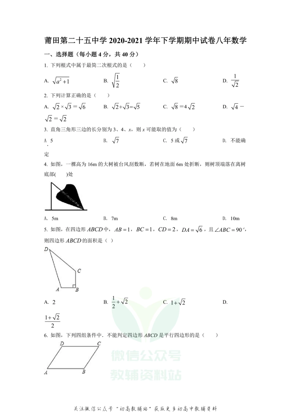 56.华师版·福建省莆田第二十五中学期中_第1页