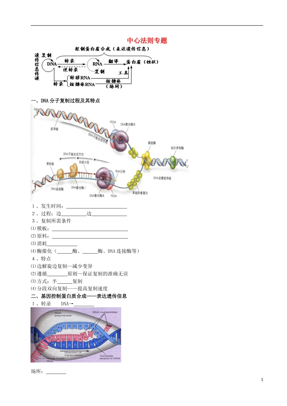 高考生物总复习遗传与进化——遗传综合应用中心法则专题学案_第1页