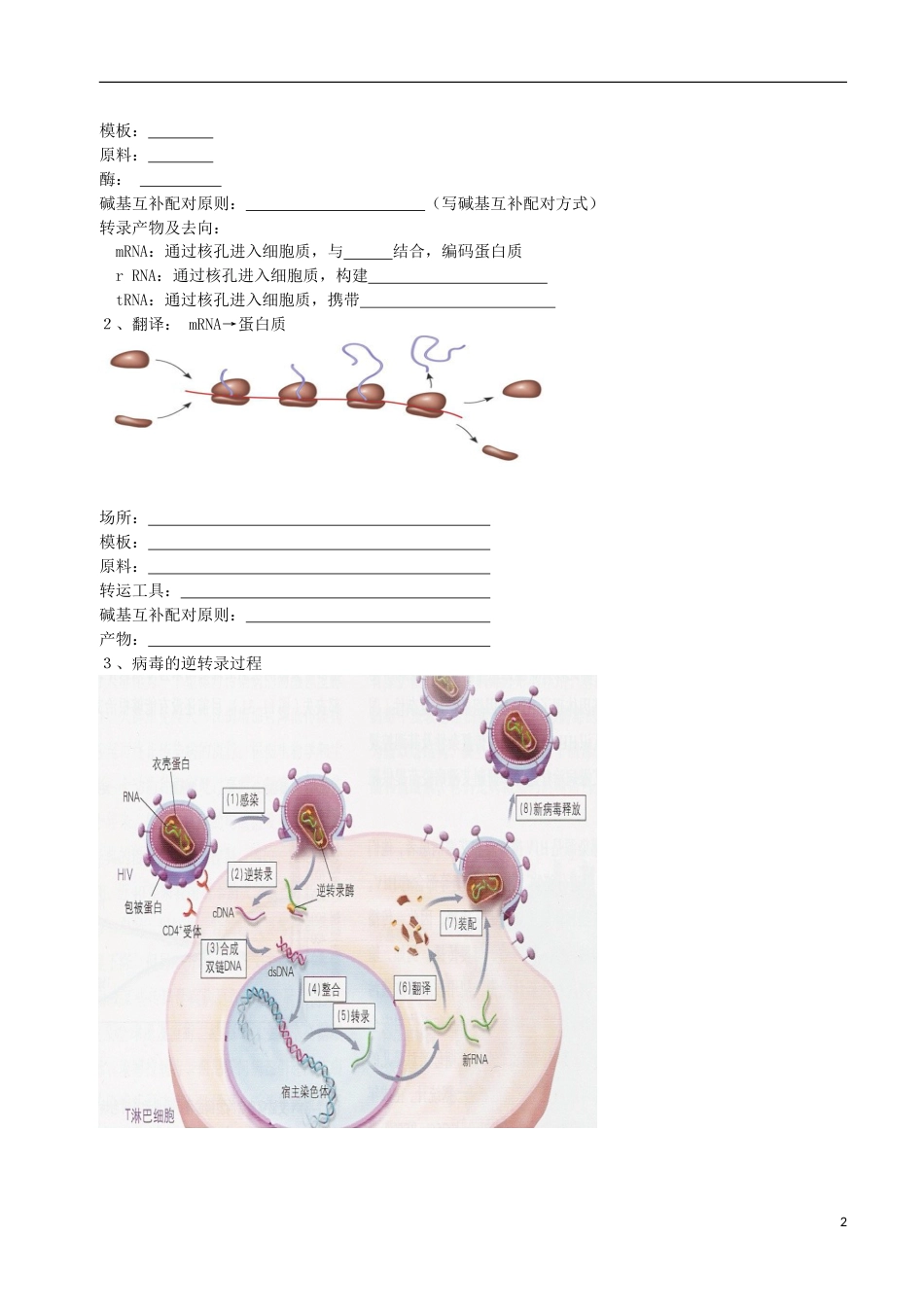 高考生物总复习遗传与进化——遗传综合应用中心法则专题学案_第2页