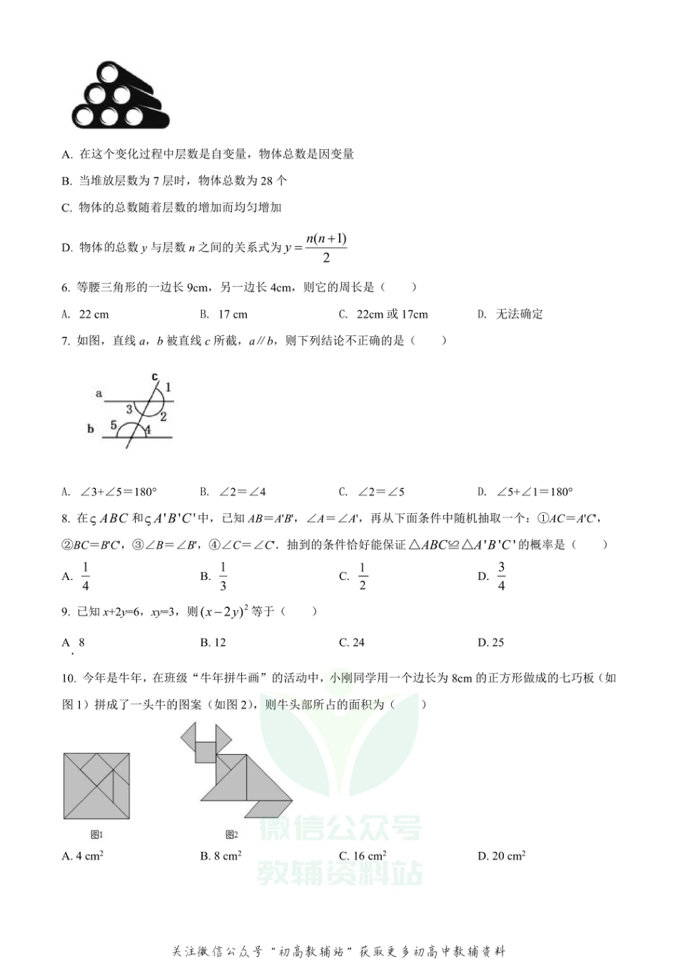 27.北师版·河南省郑州市中原区名校大联考期末_第2页