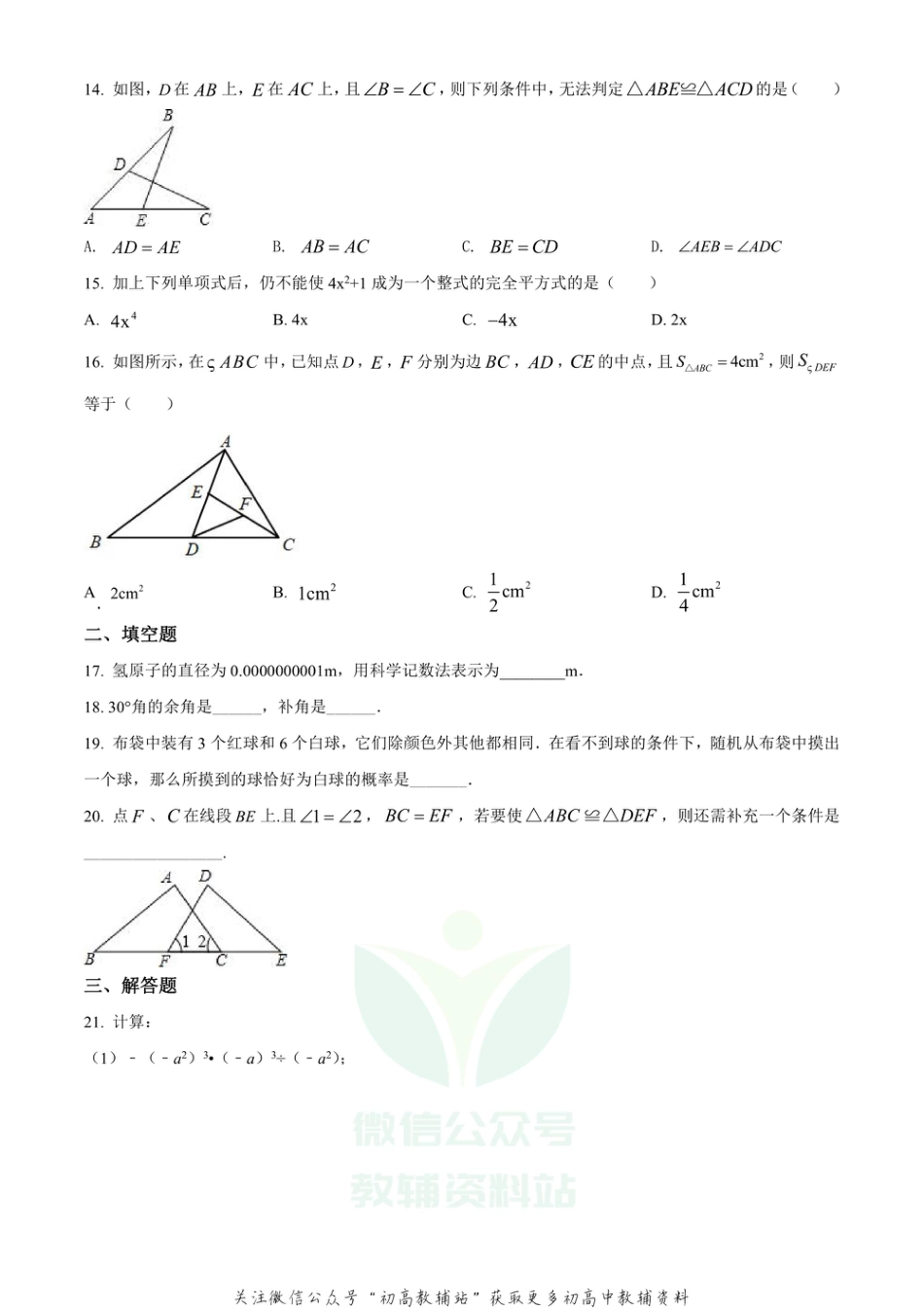 38.北师版·河北省邯郸市期末_第3页