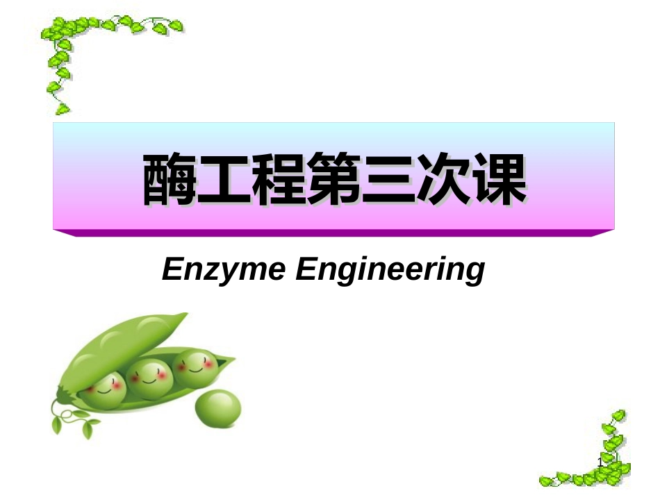 (2.1)--[2]chapter2酶工程酶工程酶工程_第1页