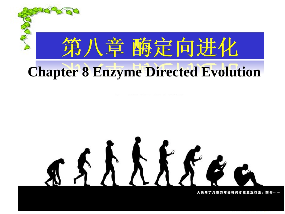 (2.6)--[8]chapter8酶工程酶工程酶工程_第1页