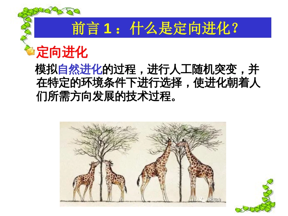 (2.6)--[8]chapter8酶工程酶工程酶工程_第2页