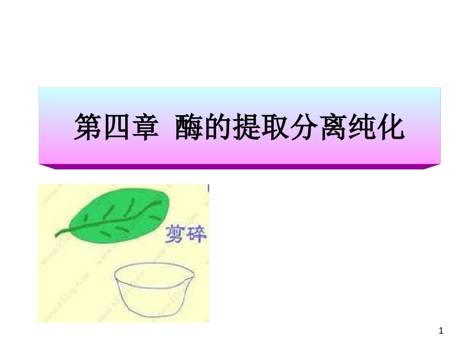 (2.10)--[4.1]chapter4(1)酶工程酶工程酶工程_第1页