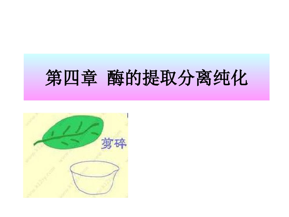 (2.11)--[4.2]chapter4(2)酶工程酶工程酶工程_第1页