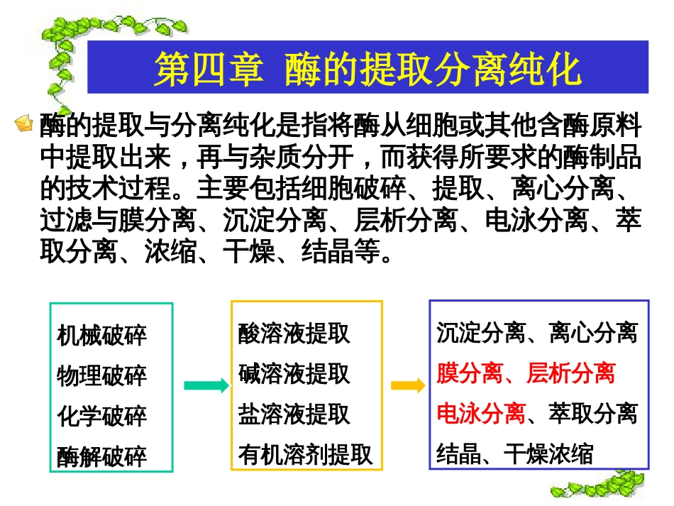 (2.11)--[4.2]chapter4(2)酶工程酶工程酶工程_第2页