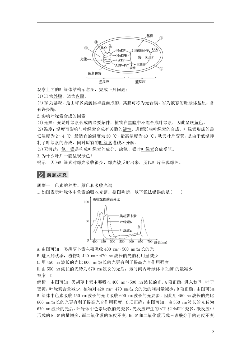 高考生物一轮总复习第二单元细胞的代谢第讲光用Ⅰ学案_第2页