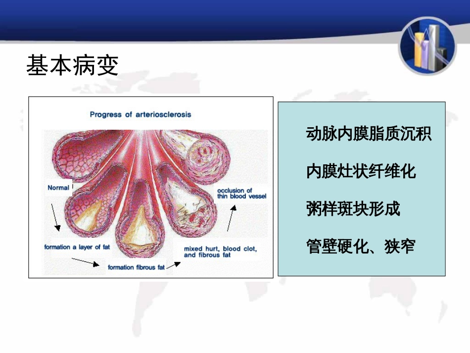 病理学——心血管系统疾病[共71页]_第3页