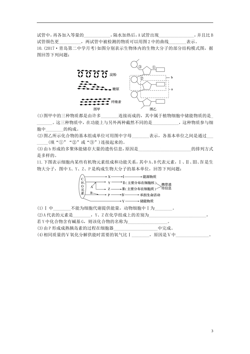 高考生物加练半小时第练多角度分析糖类脂质和核酸的分子组成及其功能苏教_第3页