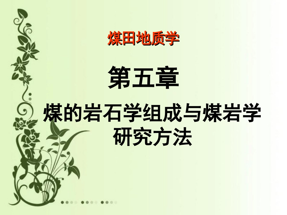 (6)--05 煤的岩石学组成与煤岩学研究方法_第1页