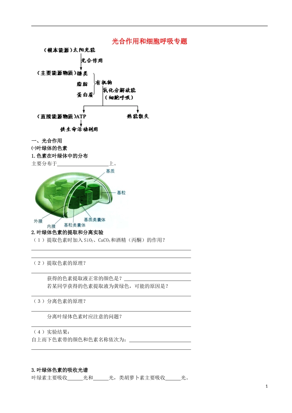 高考生物总复习分子与细胞光用和细胞呼吸专题学案_第1页