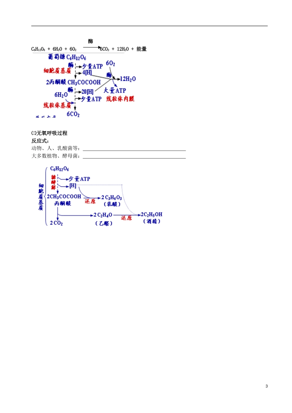 高考生物总复习分子与细胞光用和细胞呼吸专题学案_第3页